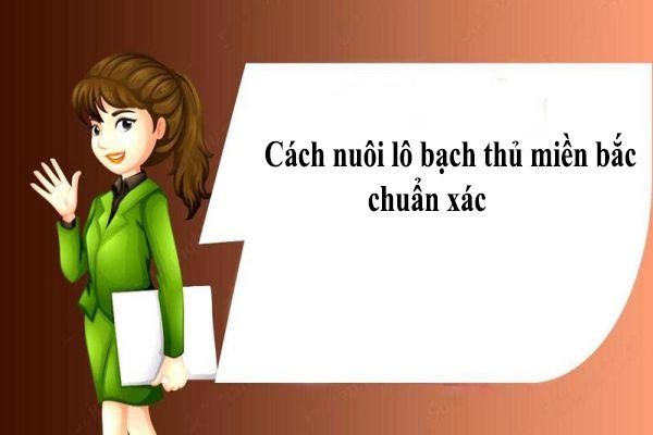 Hướng dẫn nuôi lô bạch thủ miền Bắc chuẩn xác