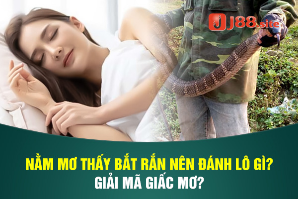 nam mo thay bat ran nen danh lo gi